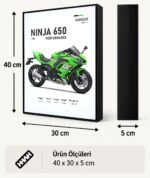 Kawasaki Ninja 650 Performance Işıklı Moto LightBox – 30x40 cm - görsel 5