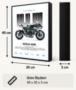 Kawasaki Ninja H2R Işıklı Moto LightBox – 30x40 cm - görsel 5