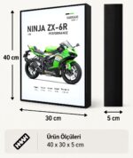 Kawasaki Ninja ZX-6R Performance Işıklı Moto LightBox – 30x40 cm - görsel 5